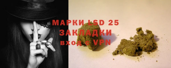 стаф Аркадак