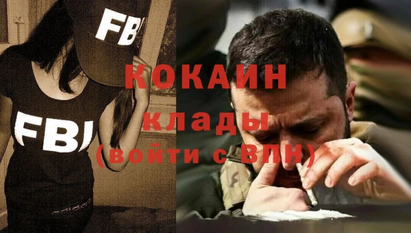 стаф Аркадак