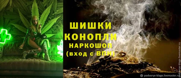 стаф Аркадак