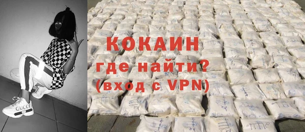 стаф Аркадак