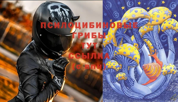 COCAINE Снежногорск